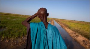 Malian Farmer